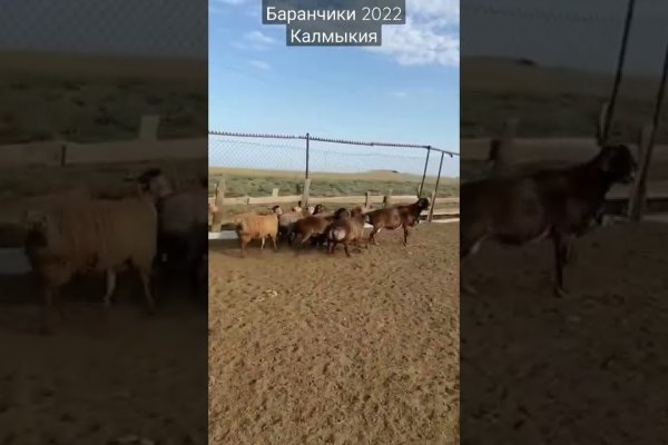 Кракен правила площадки