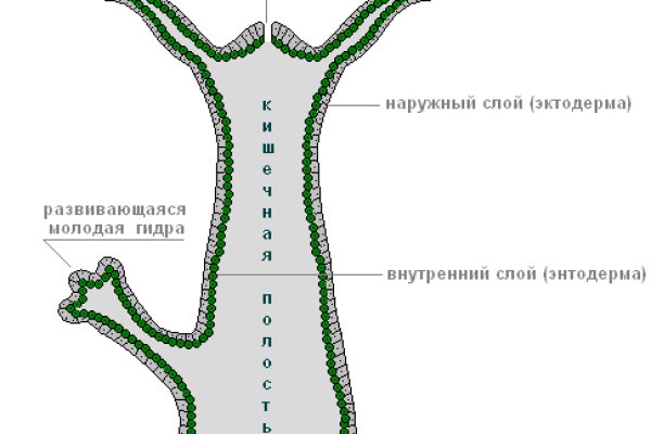 Клир ссылка на кракен 2025