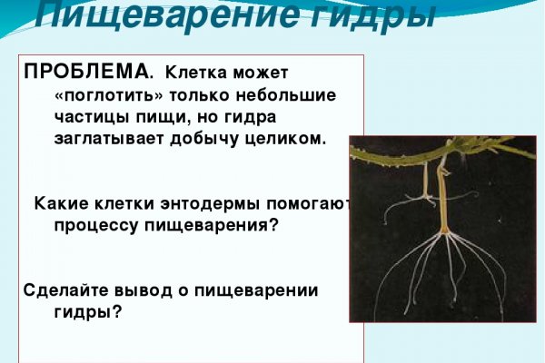 Кракен ссылка kraken