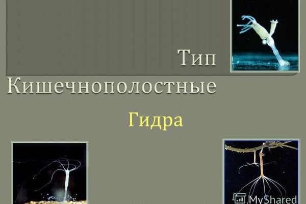 Официальный сайт даркнет