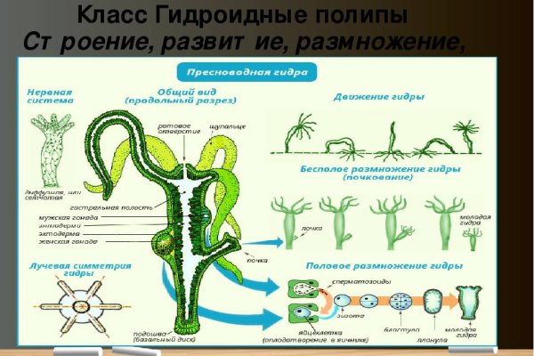Кракен купить в москве порошок