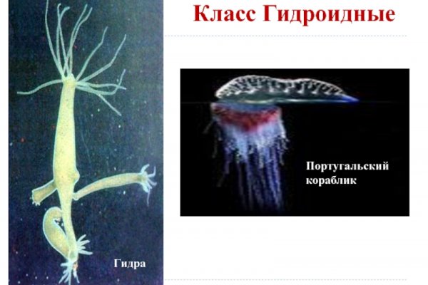 Кракен драг