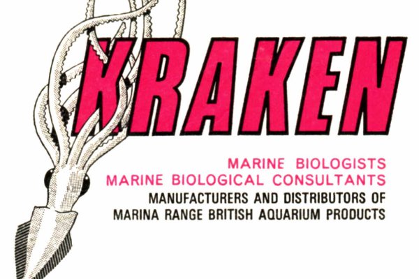 Kraken что это за магазин