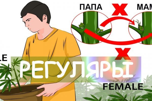 Кракен даркнет kraken link24 info