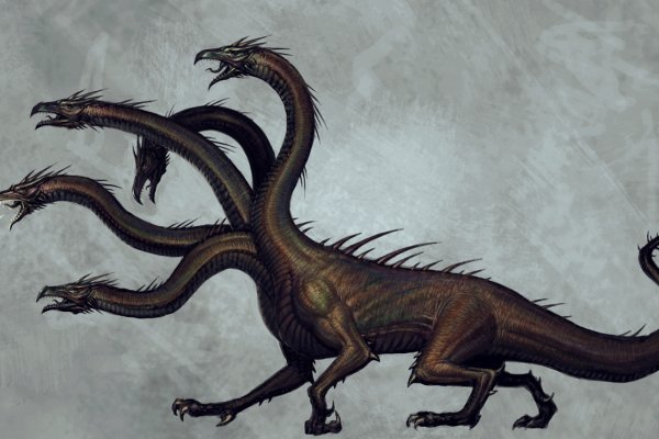Kraken 5at