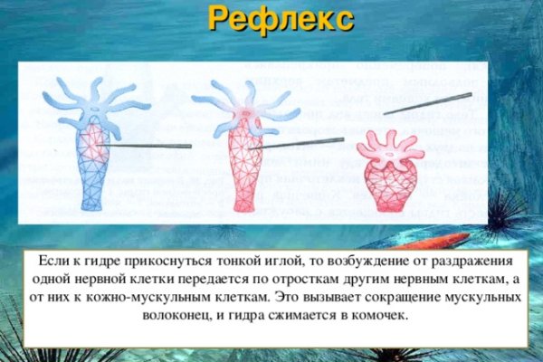 Кракен сайт at